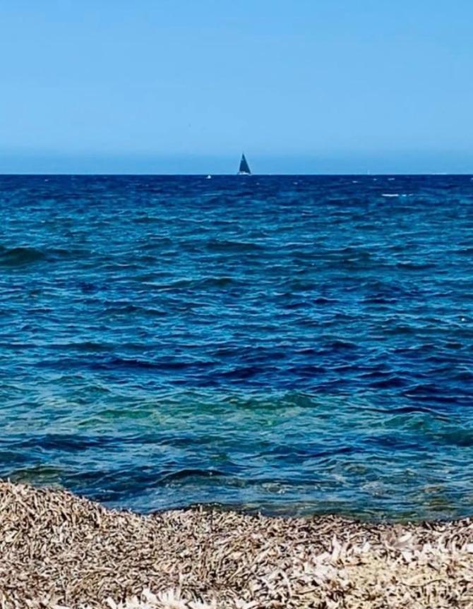 Appartamento Le Latania Sainte-Maxime Esterno foto